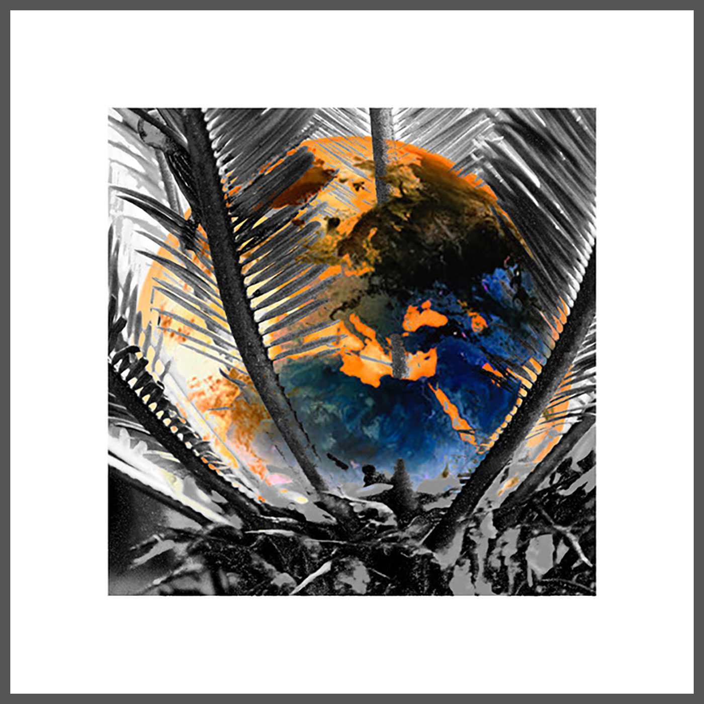 GLOBAL RISK 1