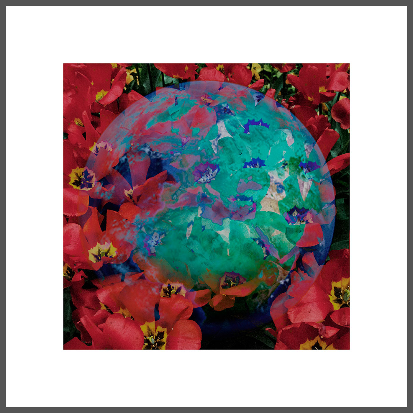 GLOBAL RISK 3